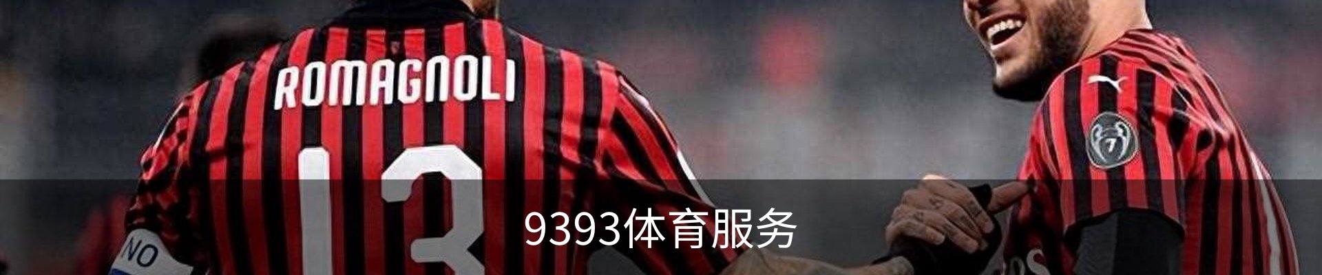 9393体育服务
