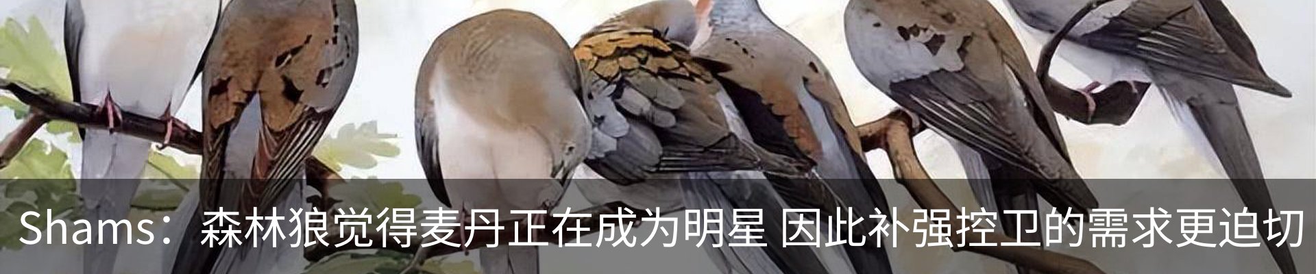 新闻动态